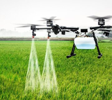 Tarım ilaçlama nedenleri